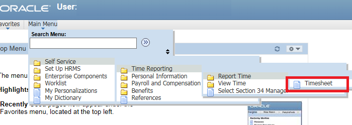 Timesheet access. Long description follows.