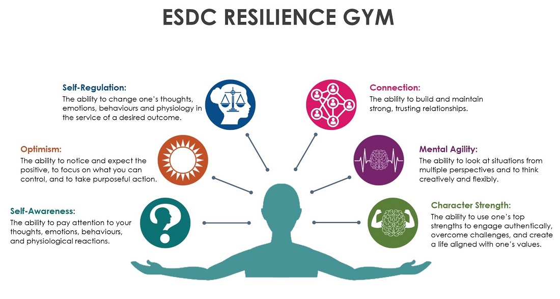 Resilience Gym's 6 circuits long description below