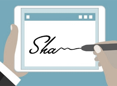 Electronic Signatures