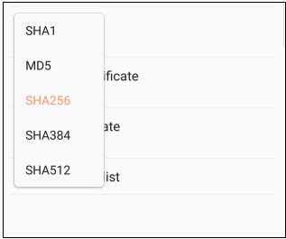 SHA 256 bit algorithm