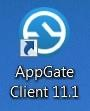 AppGate Client 11.1 icon