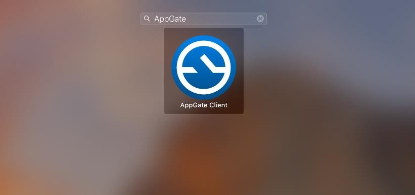 Launch AppGate Client