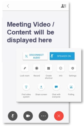 Meeting Video/Content will be diplayed here. Control panel for audio, record, settings, etc.