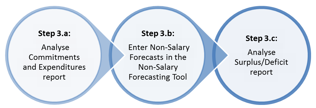 Develop and Maintain Non-Salary Forecasts. Long description below