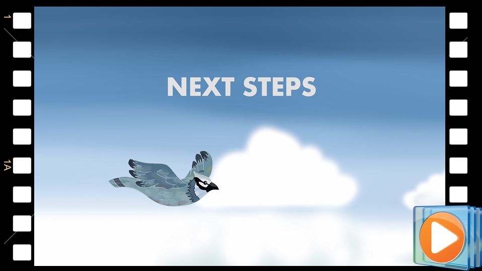 Next Steps