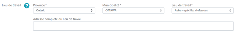 lieu de travail : sélectionnez Autre – spécifiez ci-dessous