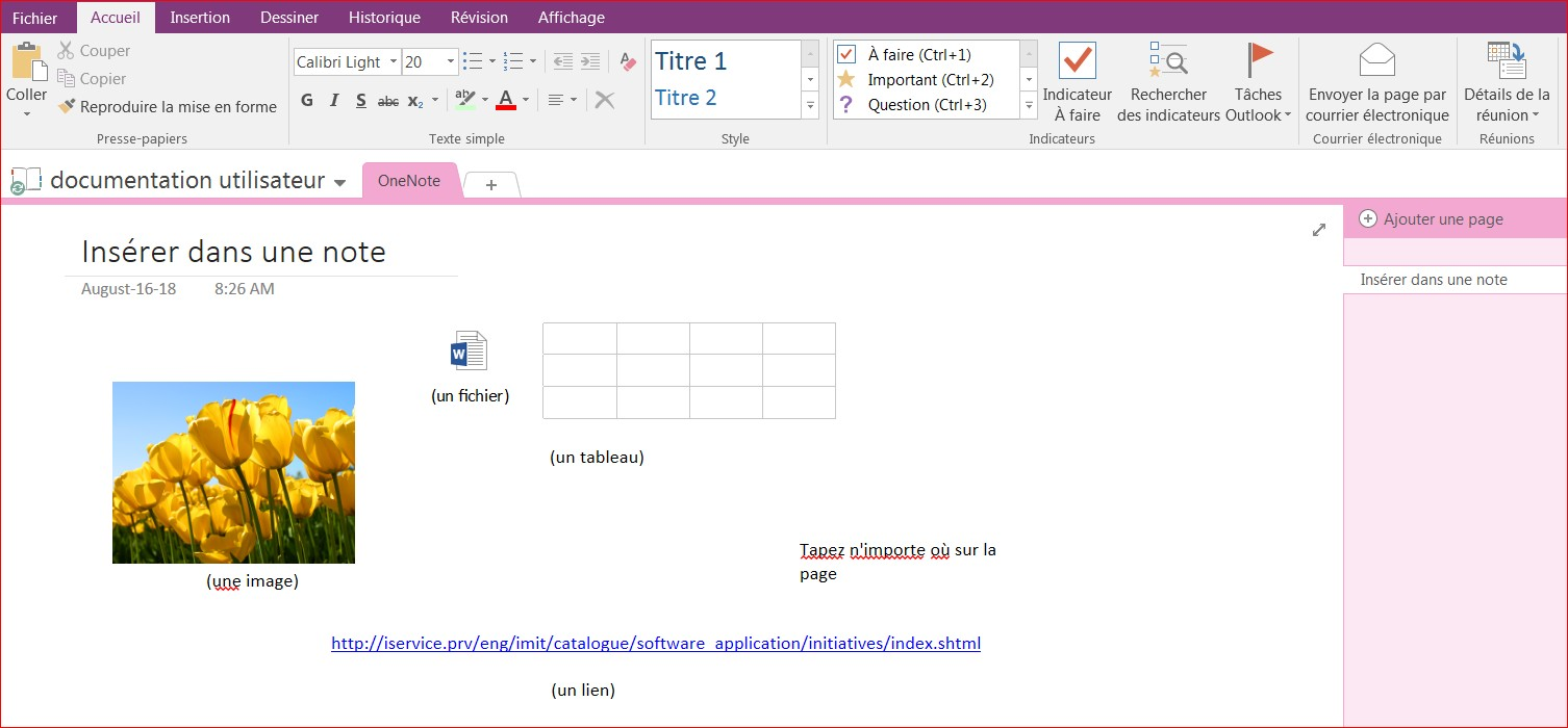 image shows onenote open with different tabs. shows pictures, tables, word documents and hyper links all on the same page