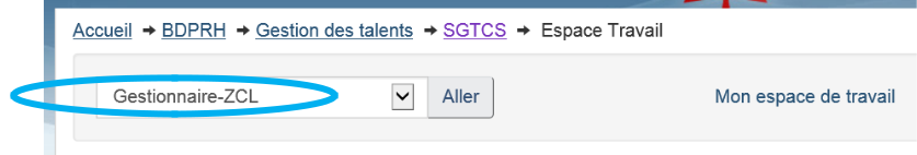 La selection 'Gestionnaire-ZCL' est encerclé.