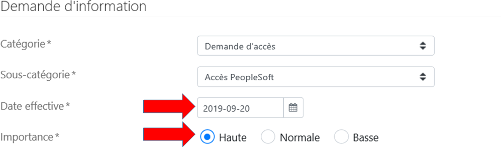 Saisie d’écran des options à sélectionner dans la fenêtre de renseignements de la demande.