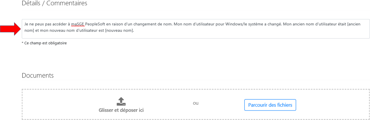 Saisie d’écran de la section Détails/commentaires.