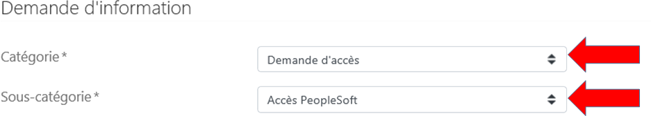 Saisie d’écran de la fenêtre de renseignements de la demande que doit remplir le gestionnaire dans le portail du CSRH.