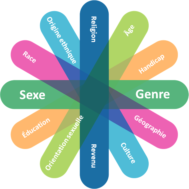 roue multicolore