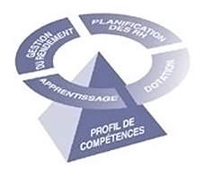 Image d'une pyramide avec un cercle au-dessus de celui-ci avec les mots suivants: profile de compétences, gestion du rendement, planification des RH, dotation et apprentisage.