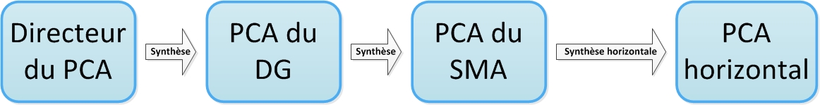 Figure 2 : Synthèse du PCA . longue description ci-dessous